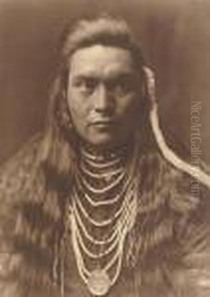 Selected Images, 1908-1915 - view 1