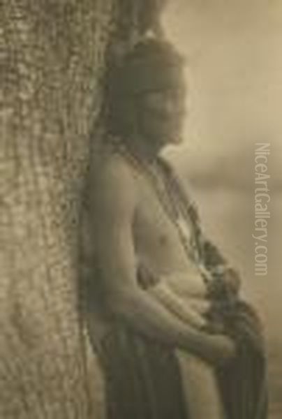 Alchise, Apache - view 1