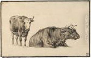 Study Of Two Cows by Aelbert Cuyp