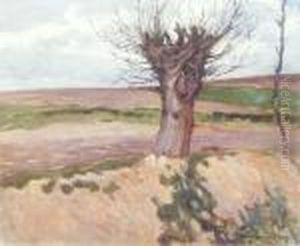 Wierzba, 1905 R.