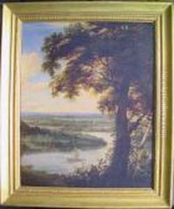 Panoramic River Landscape