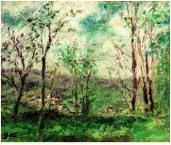Paysage - view 1