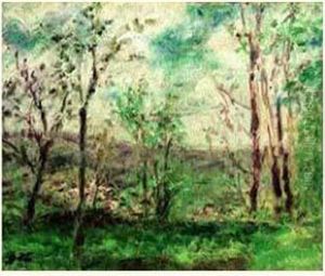 Paysage