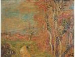 Paysage Paysage