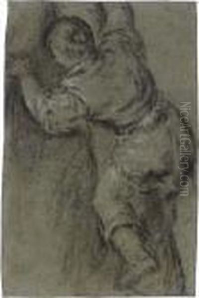 A Young Boy Climbing A Tree - view 1