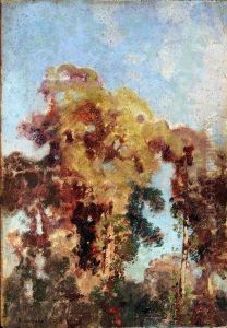 Studio Di Alberi