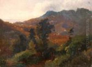 Paesaggio Alberato