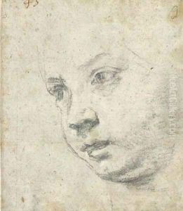 The head of a boy turned to the left