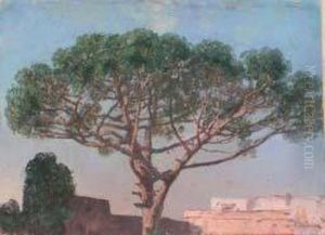 Paesaggio Con Pino