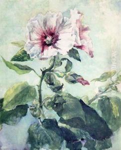 Study Of Pink Hollyhock In Sunlight From Nature by John La Farge
