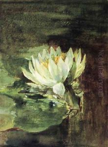 Single Water Lily In Sunlight by John La Farge