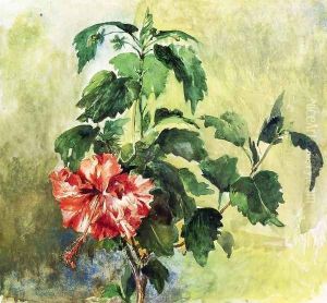 The Hibiscus Tahiti Society Islands 1891 by John La Farge