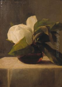 Magnolia by John La Farge
