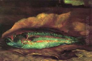 Study Of The Parrot Fish