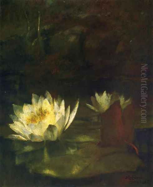 The Last Water Lilies - view 1