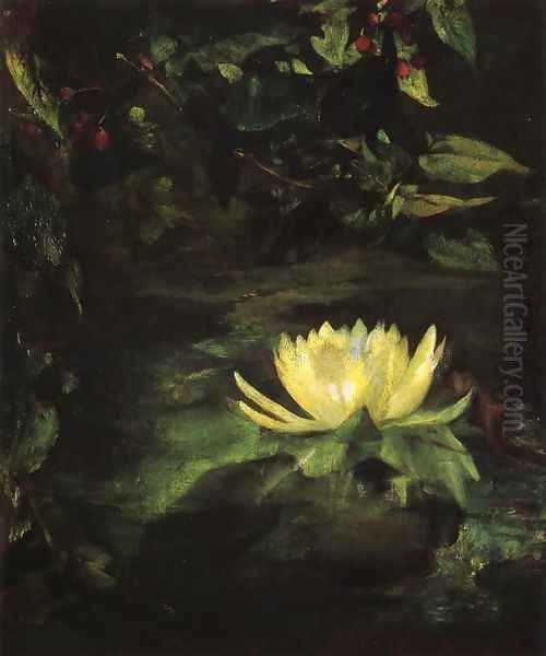 Water Lily Aka Lotus Leaves - view 1