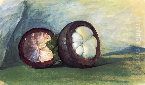 Fruit Of The Mangosteen Java - view 1