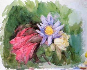 Water Lilies And Hibiscus by John La Farge