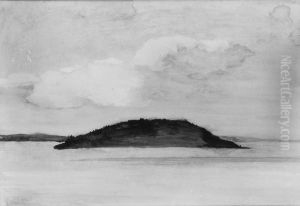 Sheep Porcupine Island, Bar Harbor, Maine, Evening Study, August 29, 1896 by John La Farge