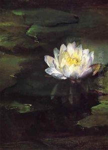 Water Lily Study From Nature by John La Farge