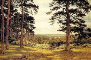 A Peep Through The Pines by Benjamin Williams Leader