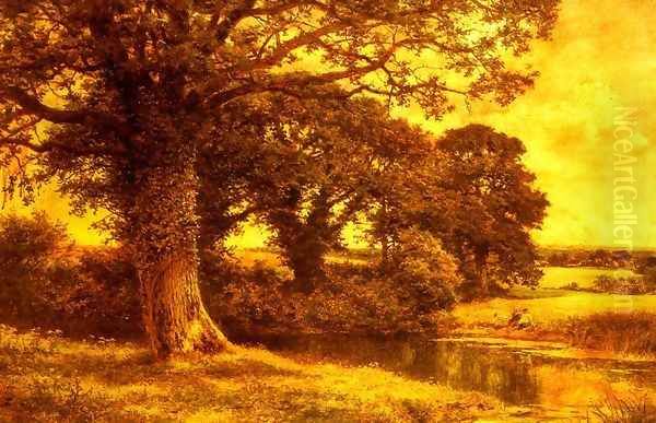 A Woodland Pool - view 1