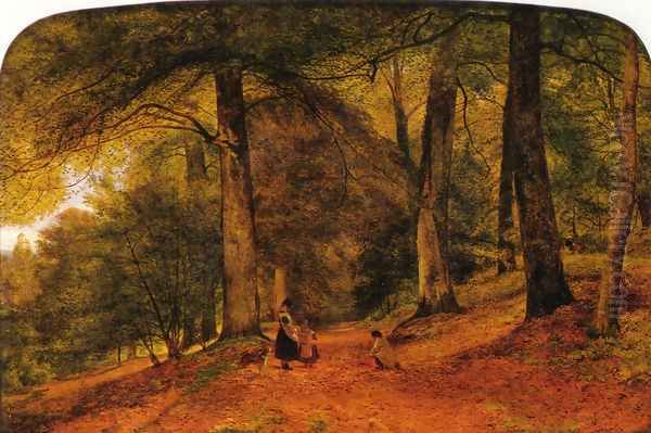 A Beech Wood - view 1