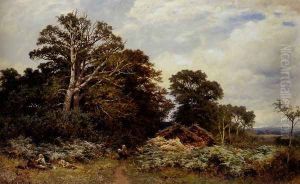 A Surrey Woodland