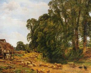 Outskirts of a Farm
