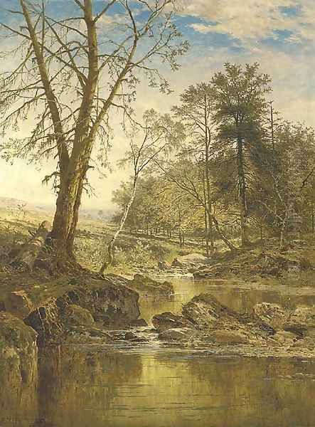 A sunny stream - Beardon, Dartmoor - view 1