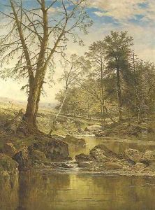 A sunny stream - Beardon, Dartmoor