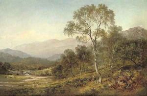 Birch trees on the hillside below Capel Curig