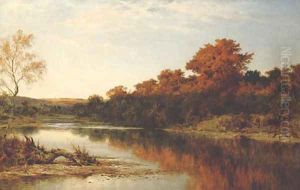 An Autumn Gleam