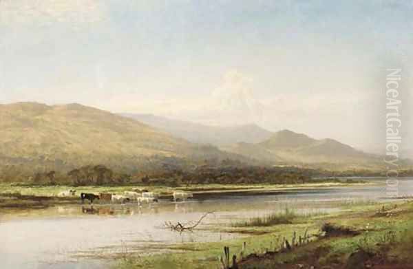 Cattle watering, Derwentwater - view 1