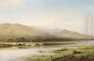 Cattle watering, Derwentwater