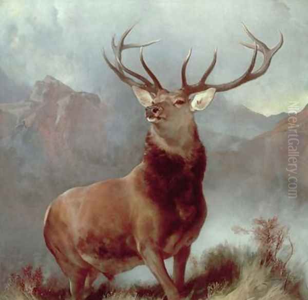 Monarch of the Glen - view 1