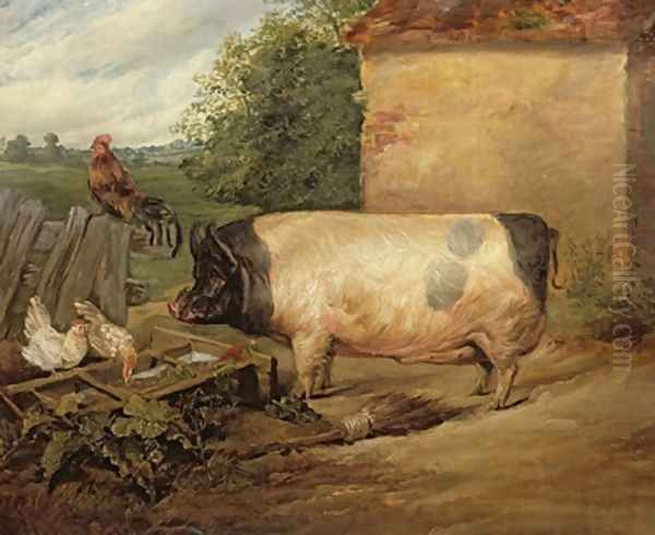 Portrait of a prize pig property of Squire Weston of Essex - view 1