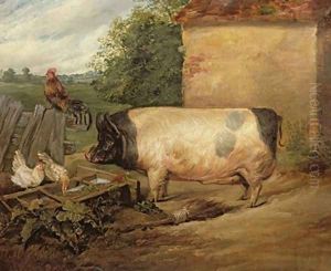 Portrait of a prize pig property of Squire Weston of Essex