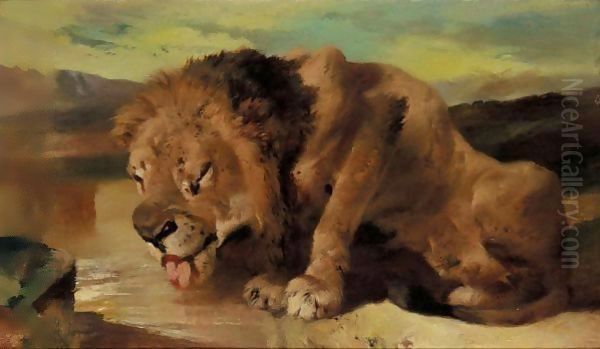 Lion Drinking At A Stream - view 1
