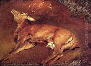 Study Of A Dead Stag by Sir Edwin Henry Landseer
