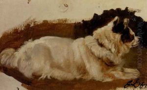 Study Of A Chow by Sir Edwin Henry Landseer