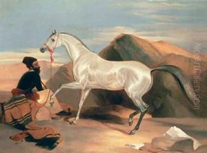 Arab Stallion by Sir Edwin Henry Landseer