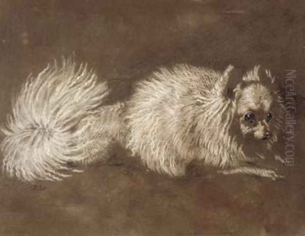 A Pomeranian Dog - view 1