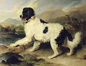 Newfoundland Dog Called Lion by Sir Edwin Henry Landseer