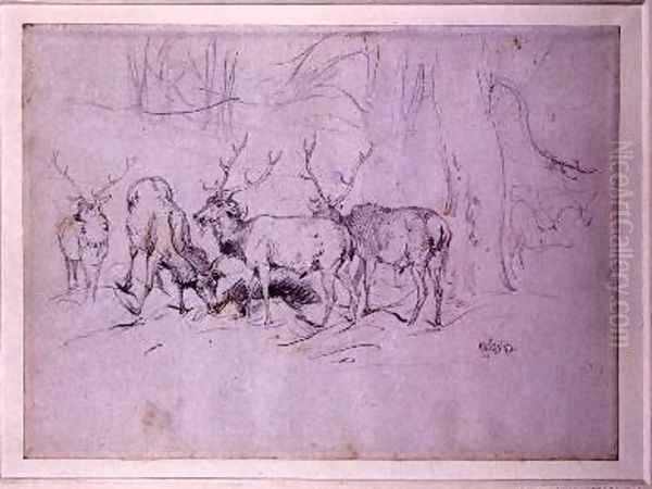 Group of Stags - view 1