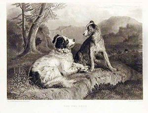 The Twa dogs by Sir Edwin Henry Landseer
