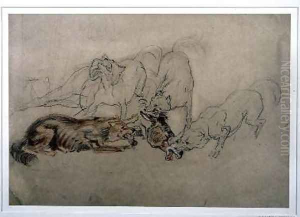Pack of Wolves Devouring a Horses Head - view 1