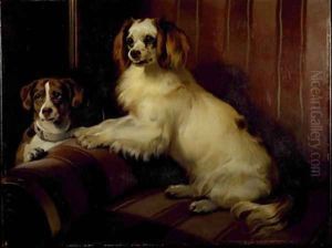 Boney and Var by Sir Edwin Henry Landseer