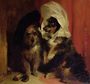 Comical Dogs
