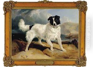 Neptune the Property of William Ellis Gosling Esq by Sir Edwin Henry Landseer